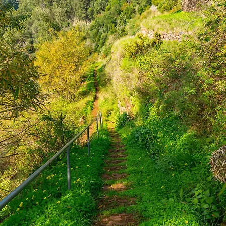 Vienna Alpine Escape