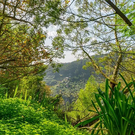 Appartement Vienna Alpine Escape *