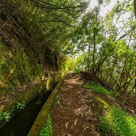 Vienna Alpine Escape * Gaula