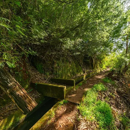 Vienna Alpine Escape *