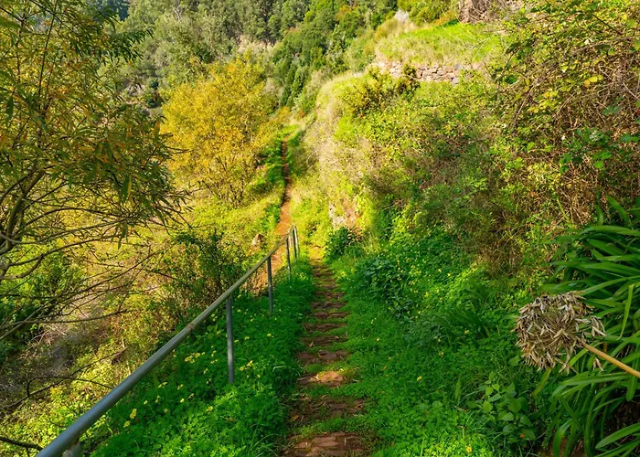 Vienna Alpine Escape